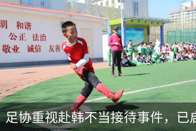 足协重视赴韩不当接待事件，已启动调查程序